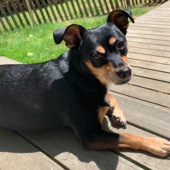 Meet your Posher! - Picture 3 of 3